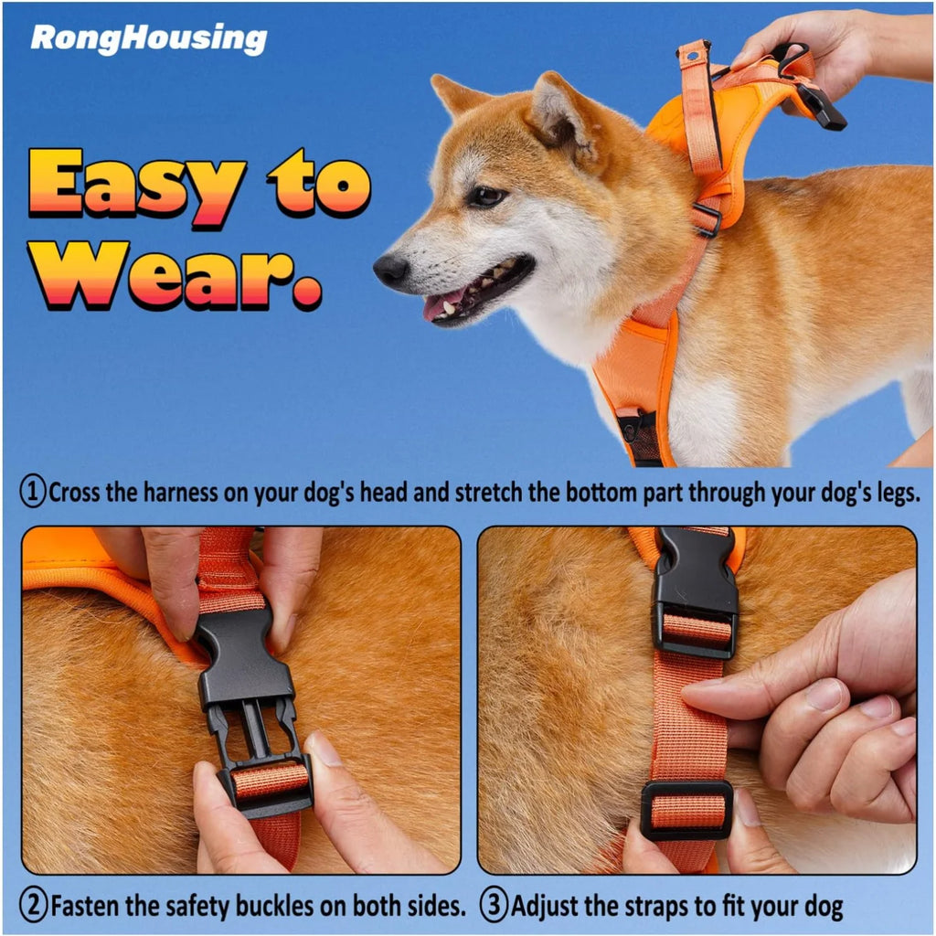 Kit harnais pour chien et laisse rétractable automatique