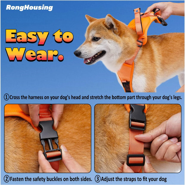 Kit harnais pour chien et laisse rétractable automatique