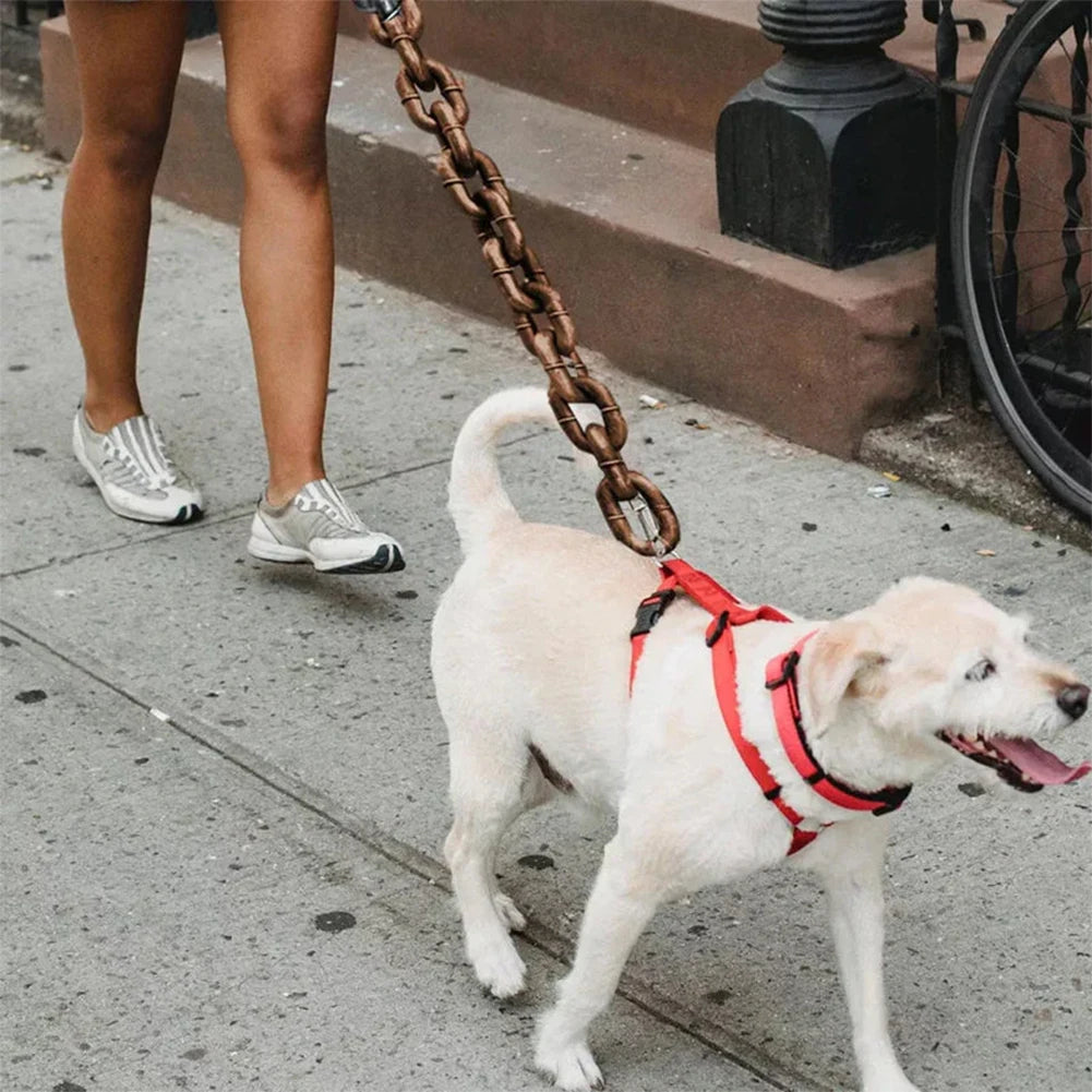 Laisse en chaîne amusante pour chien