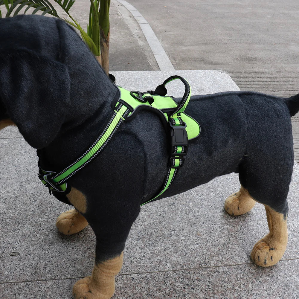 Harnais pour chien réglable en nylon.