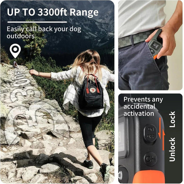 Collier d'entraînement pour chien