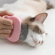 Peigne de toilettage et de massage pour chat
