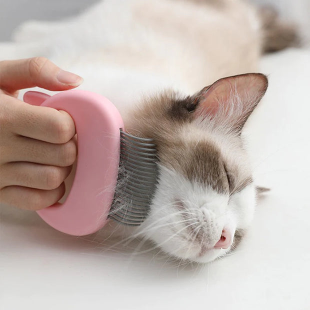 Peigne de toilettage et de massage pour chat