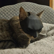 Masque de chauve-souris chat