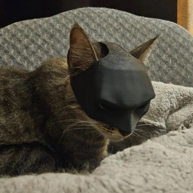 Masque de chauve-souris chat