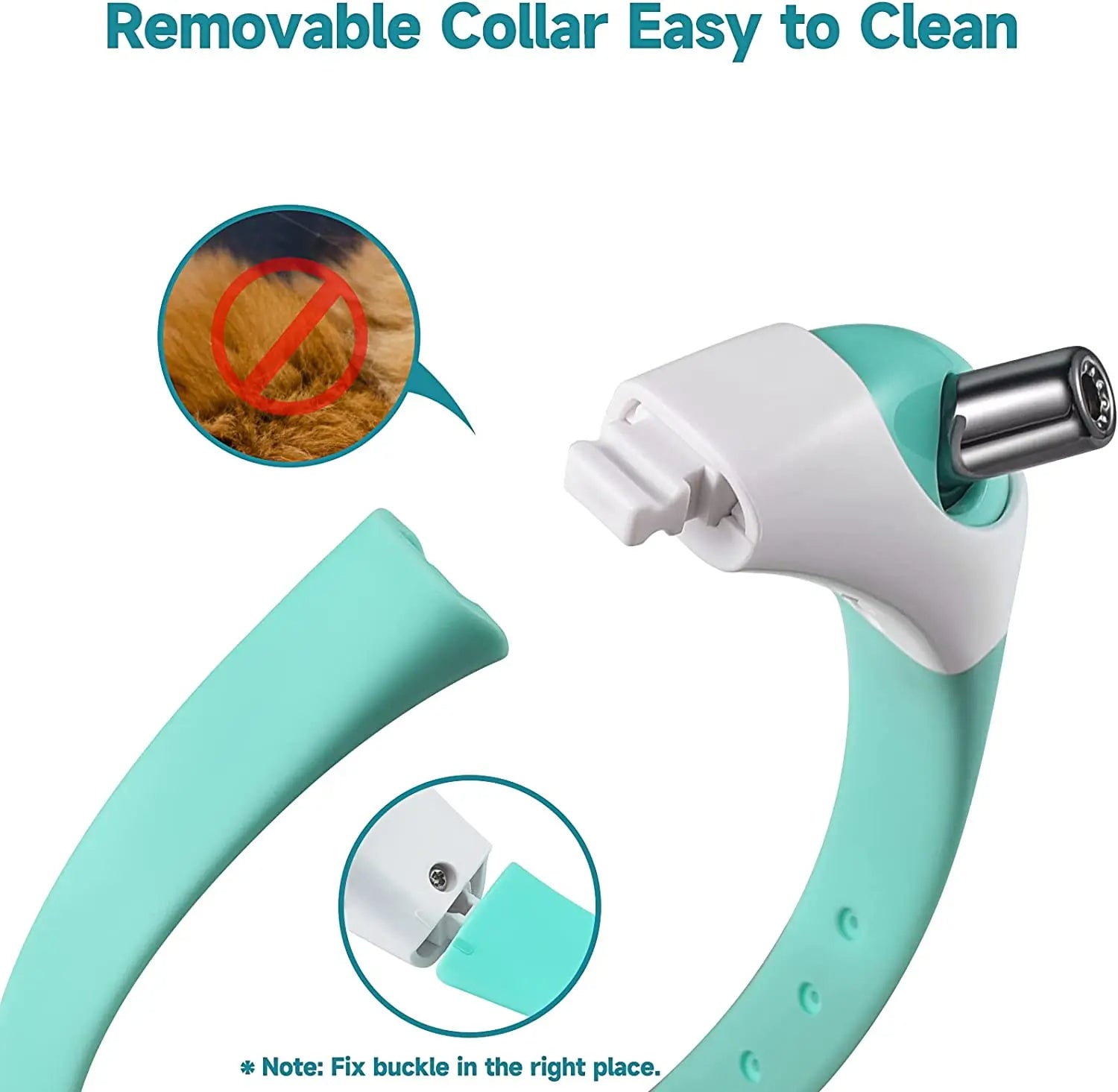 Collier laser pour chat