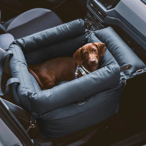 Siège auto pour chien avec boucle de sécurité