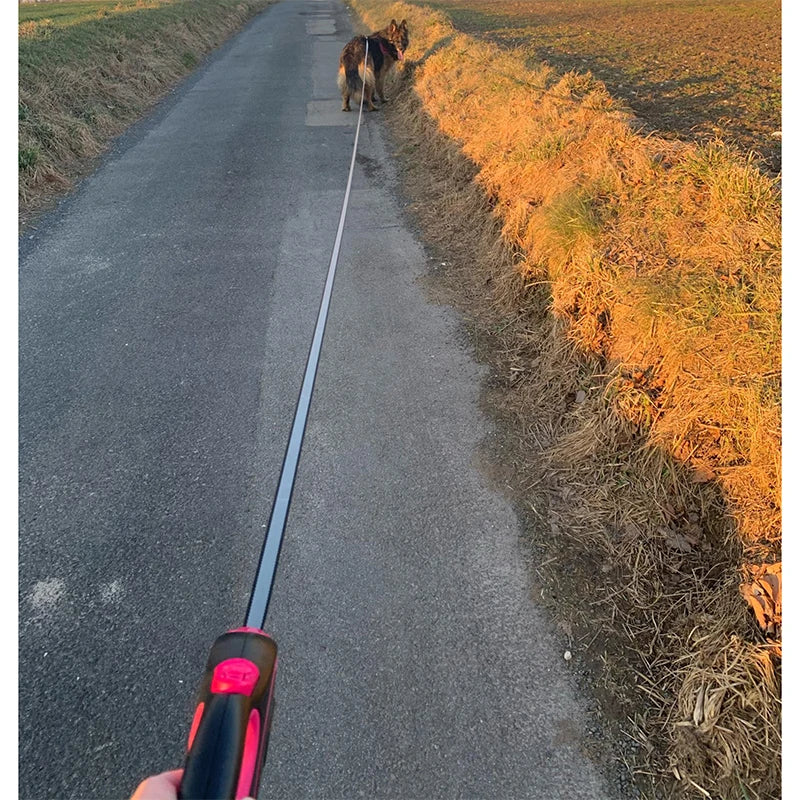 Laisse rétractable pour chiens
