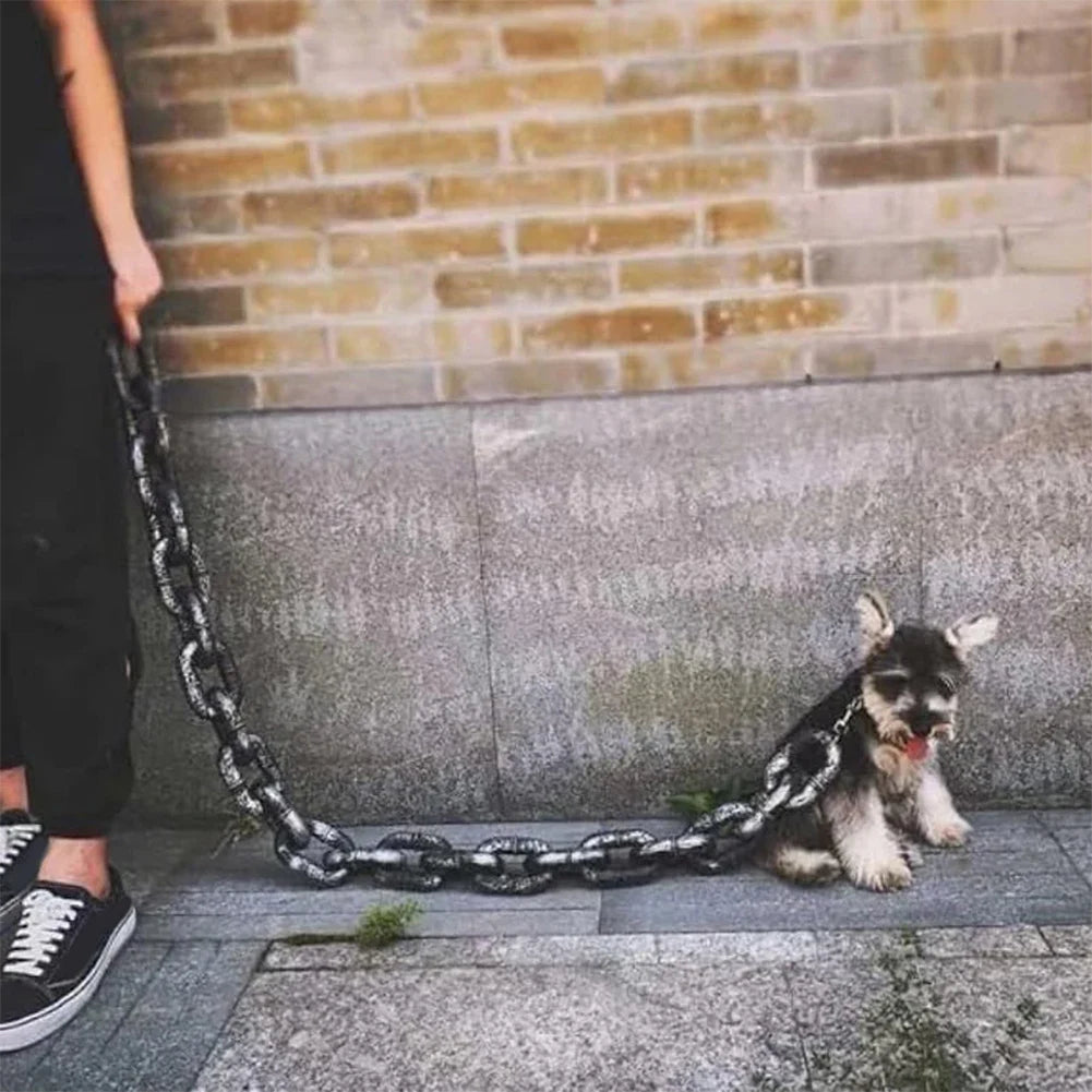 Laisse en chaîne amusante pour chien