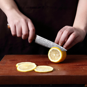 Petit couteau de cuisine de 5 pouces en acier Damas VG10