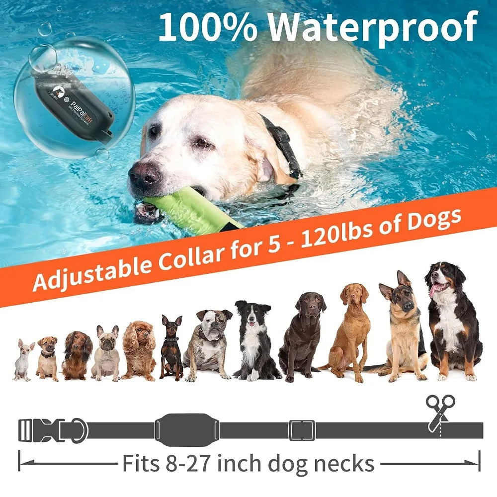 Collier d'entraînement pour chien