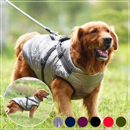 Harnais pour chien réglable en nylon.
