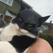 Masque de chauve-souris chat