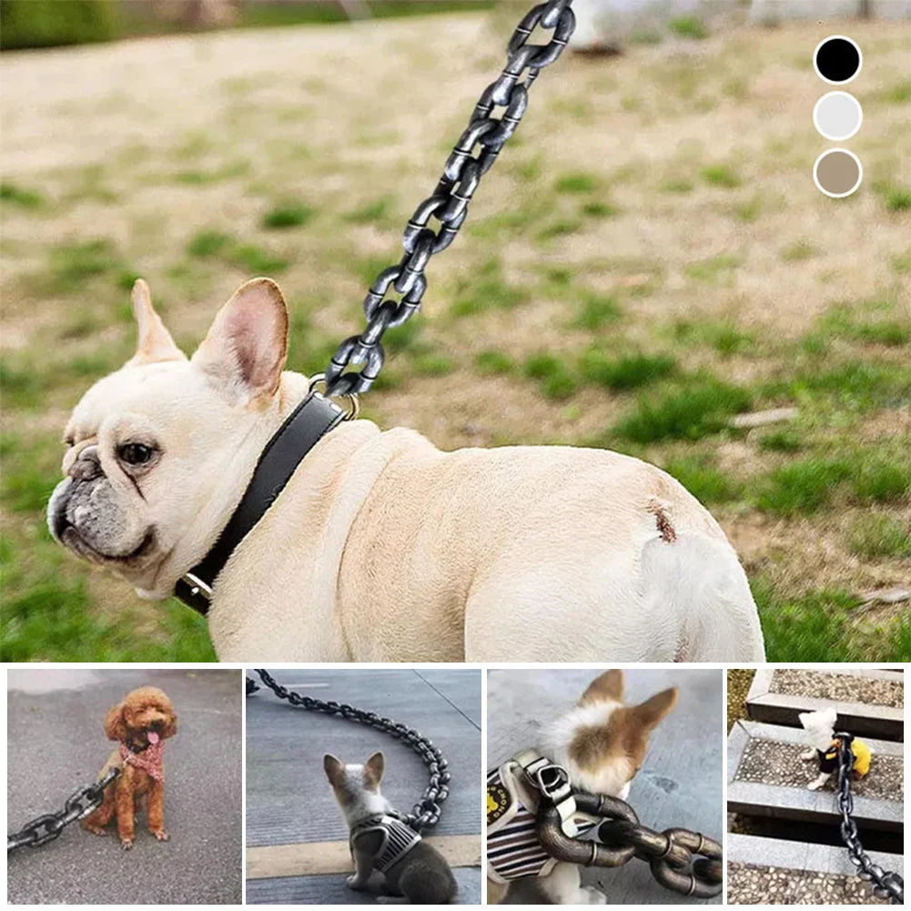Laisse en chaîne amusante pour chien