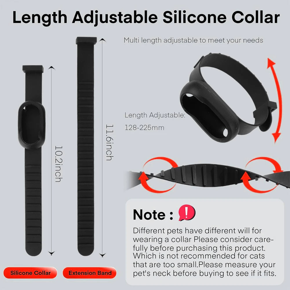 Collier avec caméra pour chats et chiens