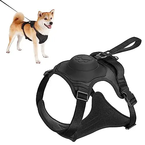 Kit harnais pour chien et laisse rétractable automatique
