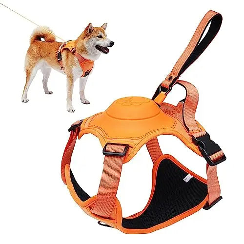 Kit harnais pour chien et laisse rétractable automatique