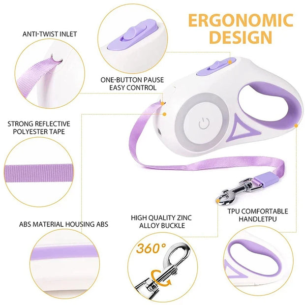 Corde de promenade lumineuse rétractable automatique pour chien