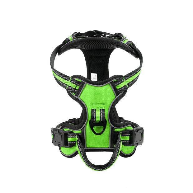 Harnais pour chien réglable en nylon.