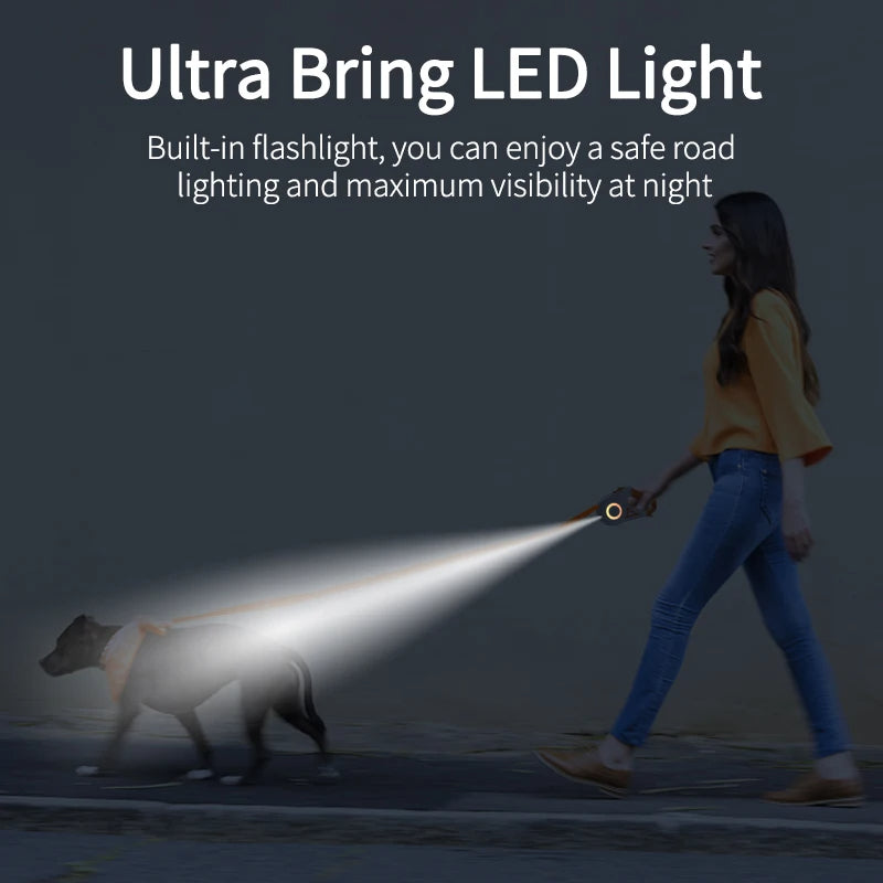 Corde de promenade lumineuse rétractable automatique pour chien