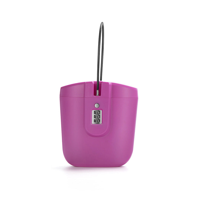 Coffre-fort portable 2 L avec serrure à combinaison à 3 chiffres
