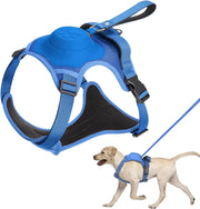 Kit harnais pour chien et laisse rétractable automatique