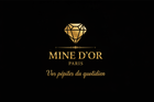 Image SEO Mine d'or Paris