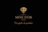Image SEO Mine d'or Paris